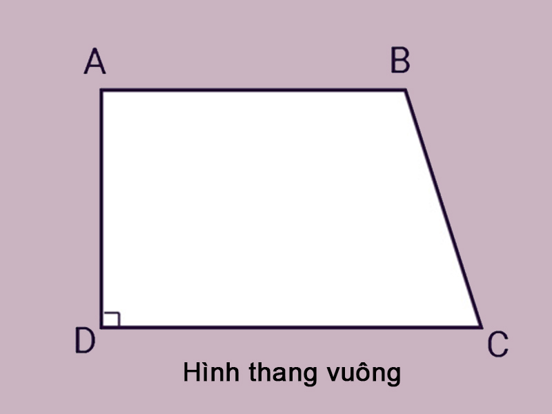 Hình thang vuông là một trường hợp đặc biệt của hình thang 
